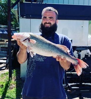 Lake Erie Fishing, Walleye